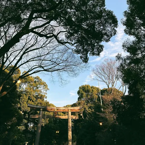 デヴィッド・バクティアリ at 明治神宮　大鳥居