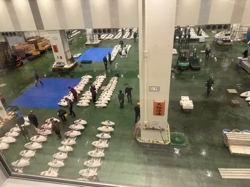 キャメロン・ジョーダン at 豊洲市場入口