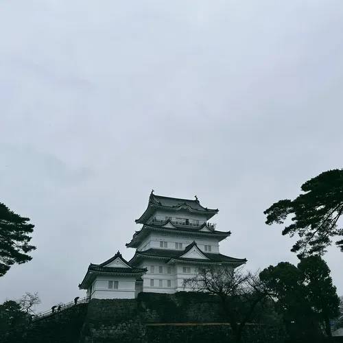 デヴィッド・バクティアリ at 小田原城