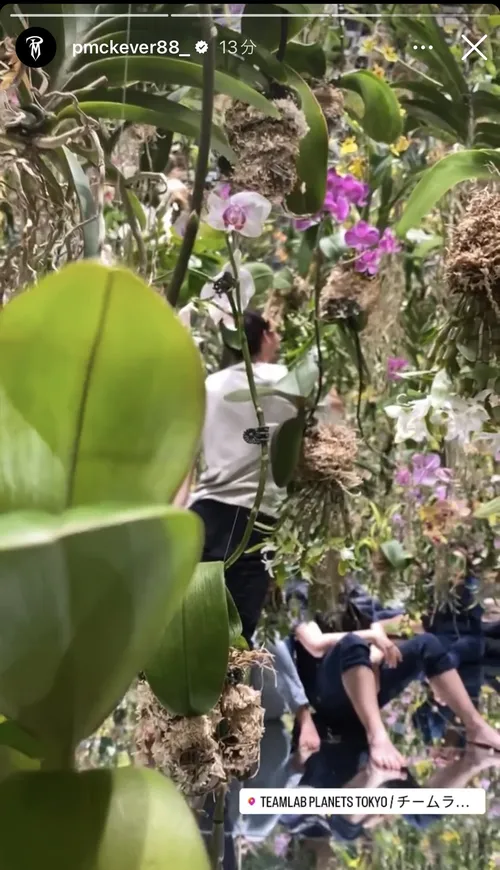 デイビッド・ヌジョク at チームラボプラネッツ TOKYO DMM
