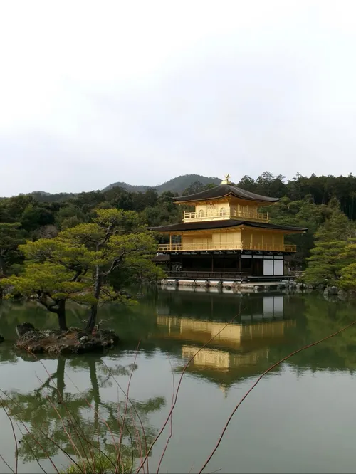 リバイ・オウンズワリケ at 京都金閣寺