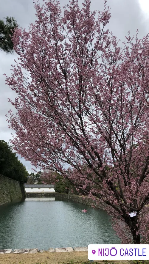 ロニー・スタンリー at 京都 二条城