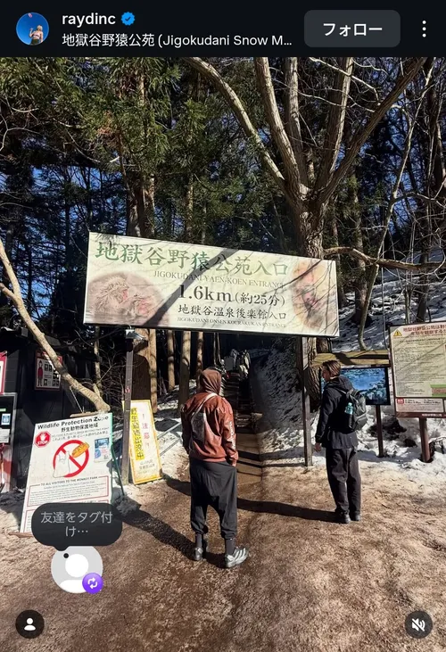 カール・ローソン at 長野県地獄谷野猿公苑