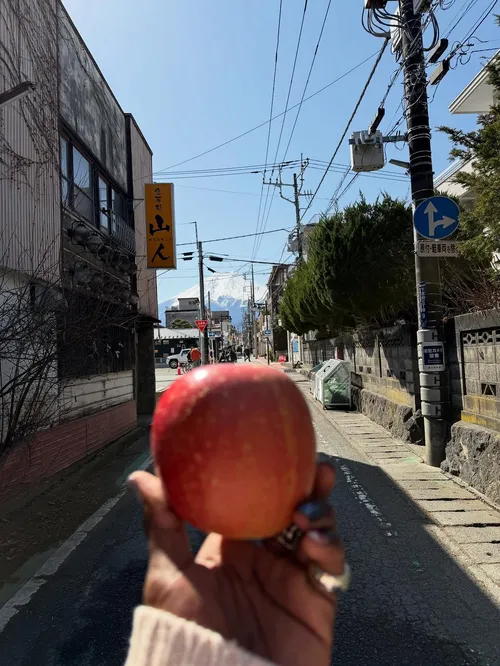 マリク・ターナー at 富士吉田市下吉田３丁目