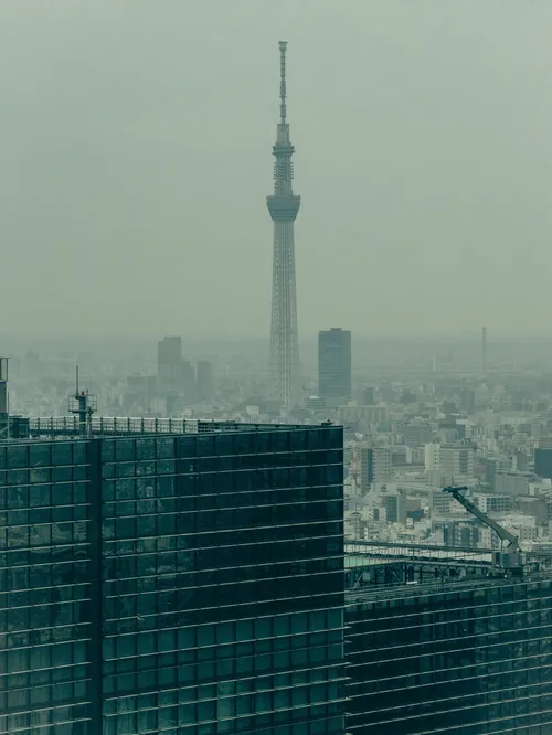 トム・ブレイディ at スカイツリー