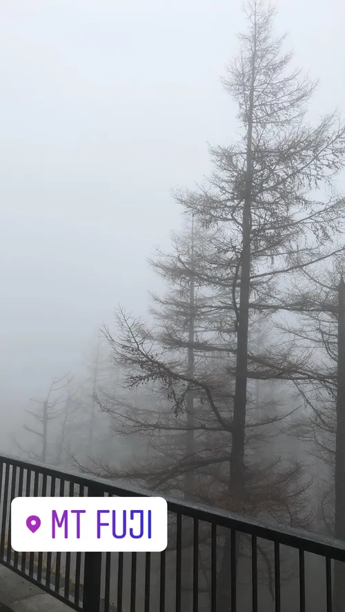 ロニー・スタンリー at 富士山